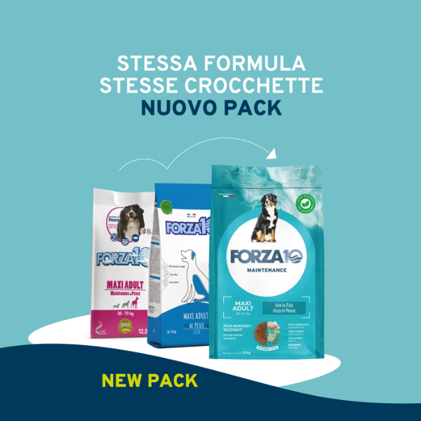 Bauzaar Forza10 Maintenance Maxi Adult al Pesce Italy