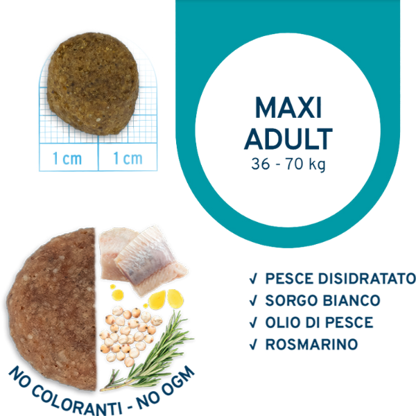 Bauzaar Forza10 Maintenance Maxi Adult al Pesce Italy