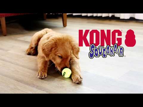 Bauzaar Kong Air Squeaker Tennis Ball In Linea