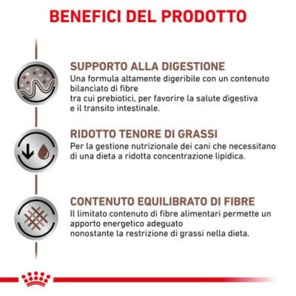 Bauzaar Royal Canin Gastrointestinal Low Fat Canine Spedizione Gratuita