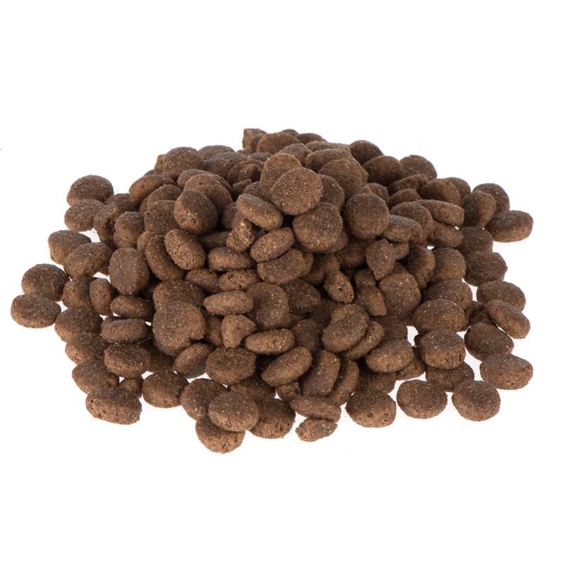 Zooplus Briantos Adult Agnello & Riso Crocchette per cane Saldi Di Fabbrica