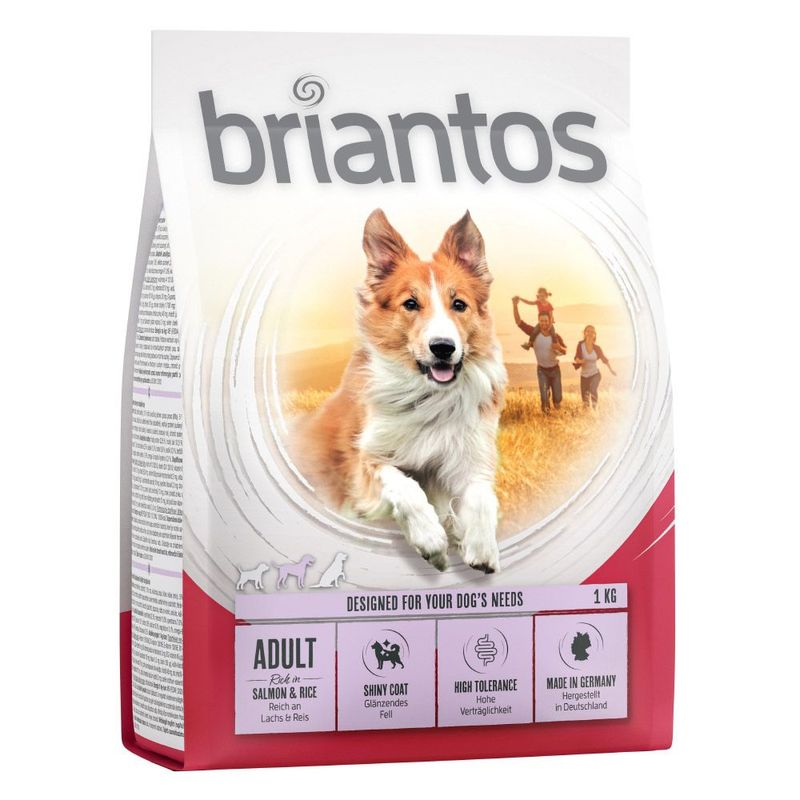 Zooplus Briantos Adult Salmone & Riso Crocchette per cane I Più Venduti