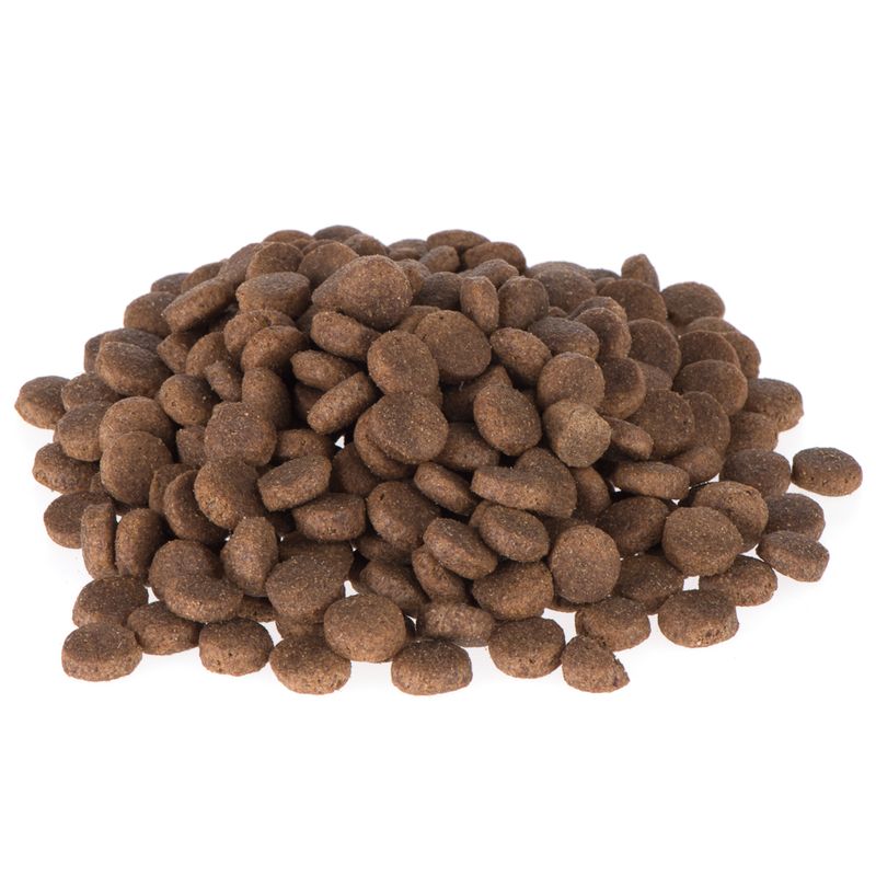 Zooplus Briantos Adult Salmone & Riso Crocchette per cane I Più Venduti