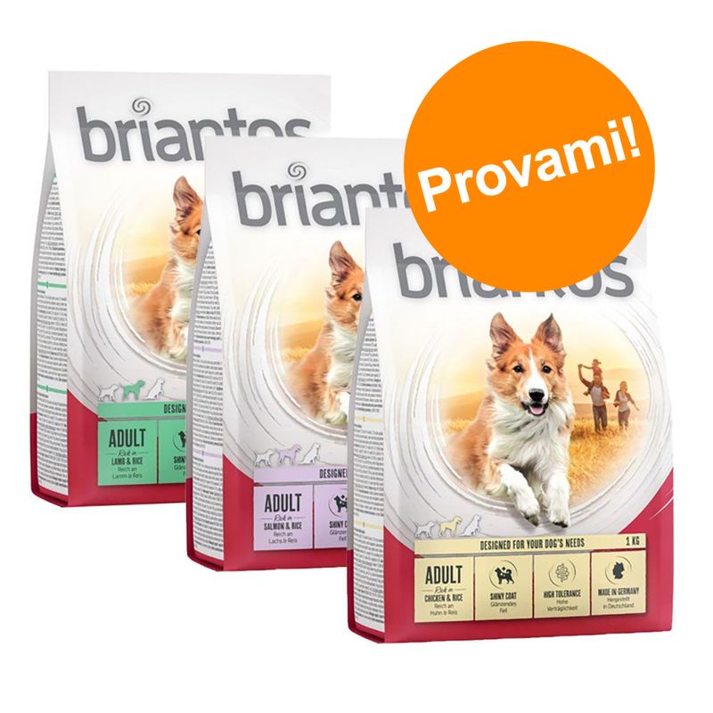 Zooplus Set prova 3 x 1 kg Briantos Adult