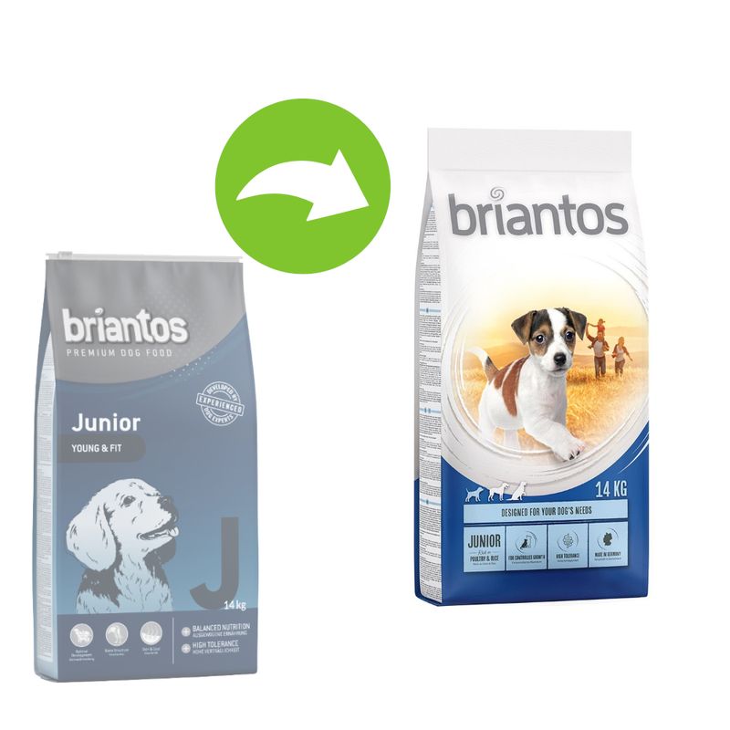 Zooplus Briantos Junior Young & Fit Vendita