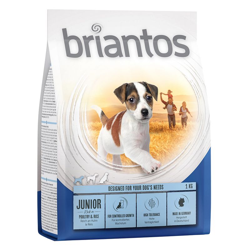 Zooplus Briantos Junior Young & Fit Vendita