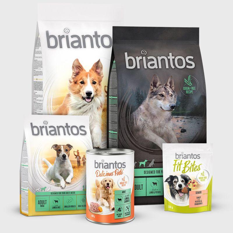 Zooplus senza cereali Crocchette per cane Promozione