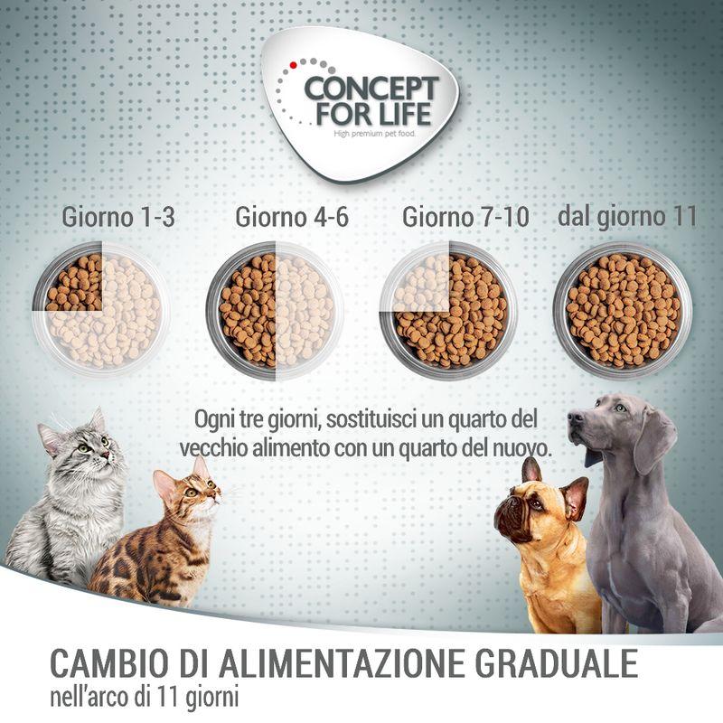 Zooplus Concept for Life Labrador Sterilised Crocchette per cani Affare Del Giorno