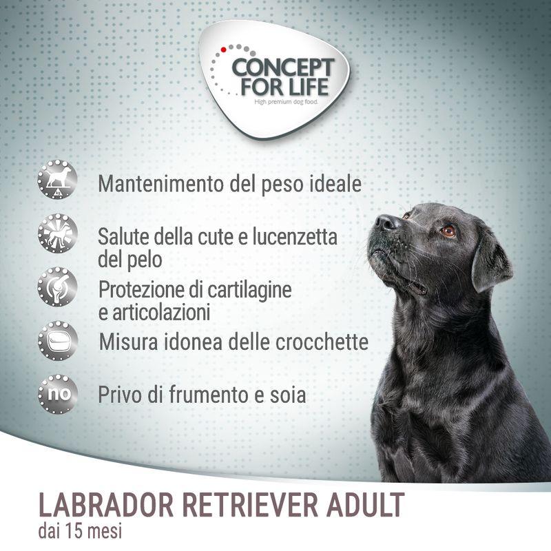 Zooplus Concept for Life Labrador Retriever Adult Crocchette per cani Prezzo Ridotto