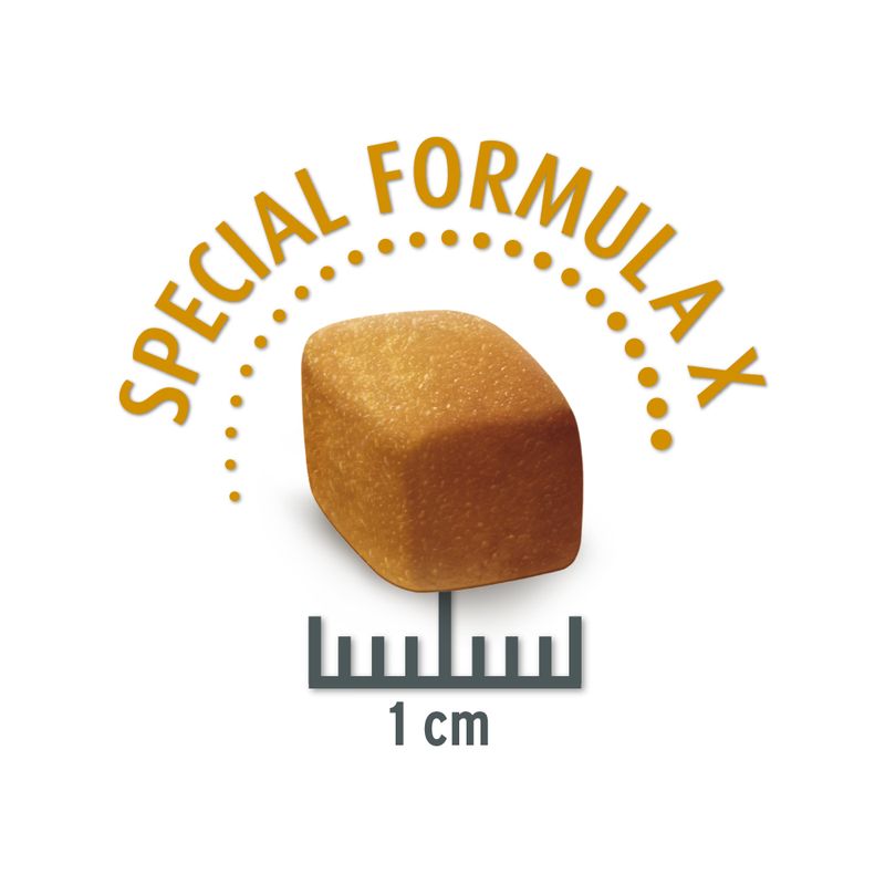 Zooplus Concept for Life Medium Sterilised Crocchette per cani Convenienza