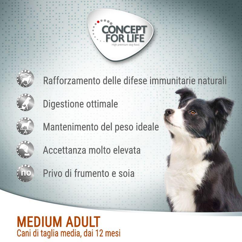Zooplus Concept for Life Medium Adult Crocchette per cani Novità