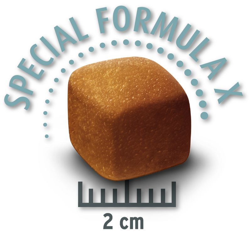 Zooplus Concept for Life Large Light Crocchette per cani Economico