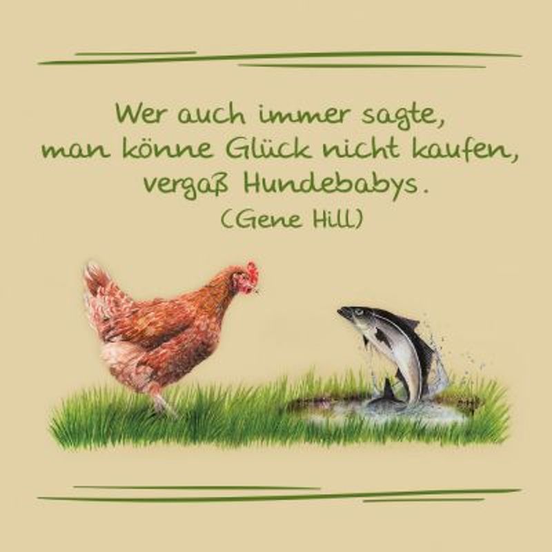 Zooplus Lukullus Junior Pollo & Trota Nuovo