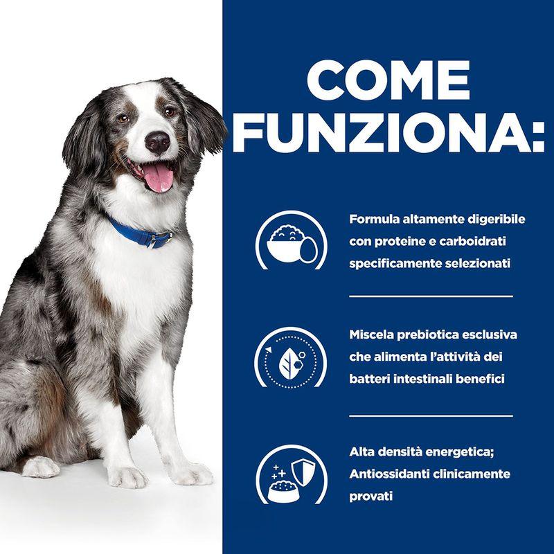 Zooplus Hill's Prescription Diet i/d Sensitive Digestive Care secco per cani Shopping Online