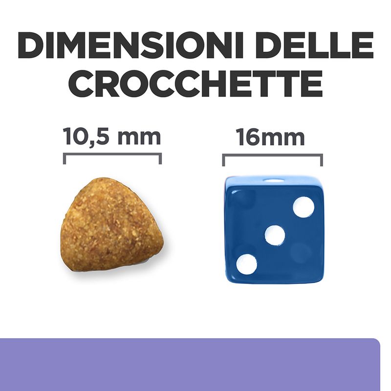 Zooplus Hill's Prescription Diet i/d Low Fat Digestive Care secco per cani Saldi