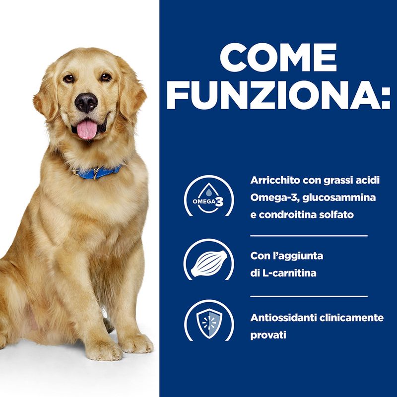 Zooplus Hill's Prescription Diet j/d Joint Care secco per cani Vendita Economica