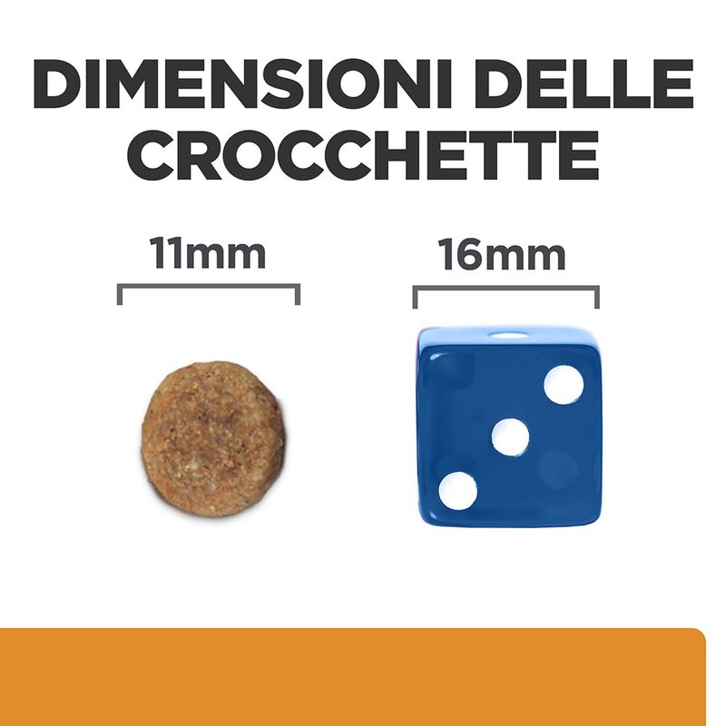 Zooplus Hill's Prescription Diet k/d Kidney Care secco per cani Saldi Di Fabbrica