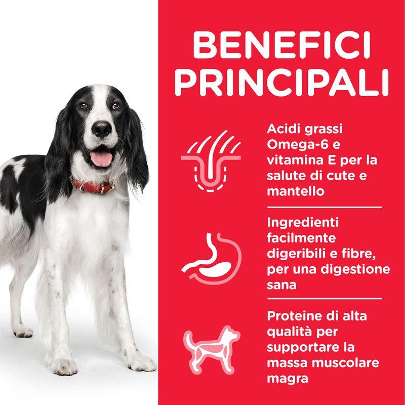 Zooplus Hill's Science Plan Adult 1-6 Medium con Agnello e Riso Affare Del Giorno