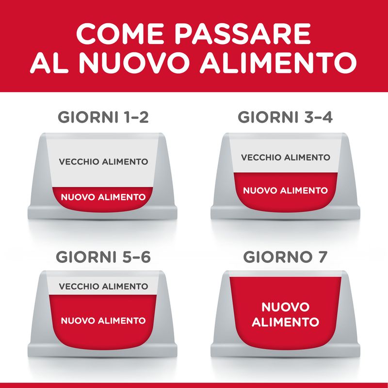 Zooplus Hill's Science Plan Adult 1-6 Medium con Agnello e Riso Affare Del Giorno