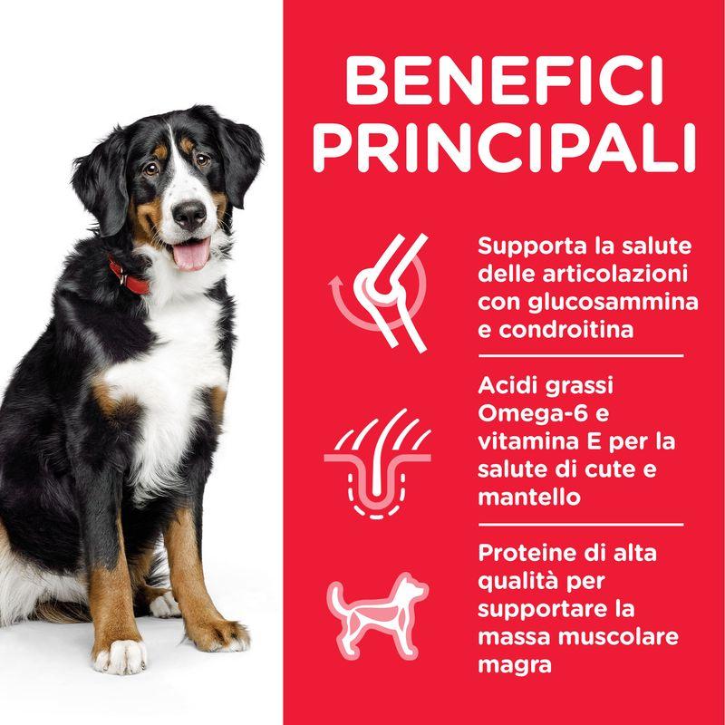 Zooplus Hill's Science Plan Adult 1-5 Large con Agnello e Riso Economico
