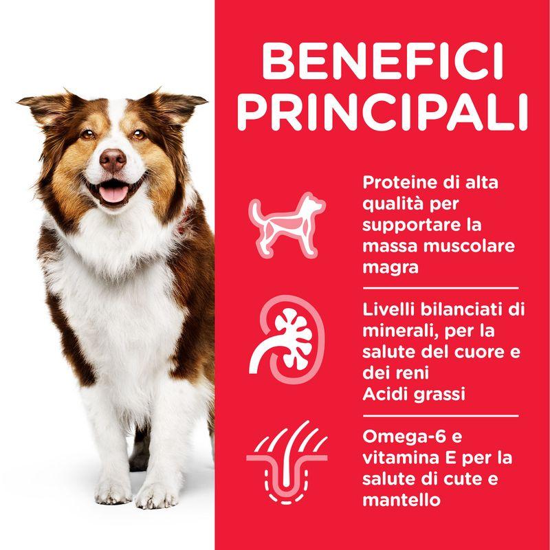 Zooplus Hill's Science Plan Mature Adult 7+ Medium con Agnello & Riso Online