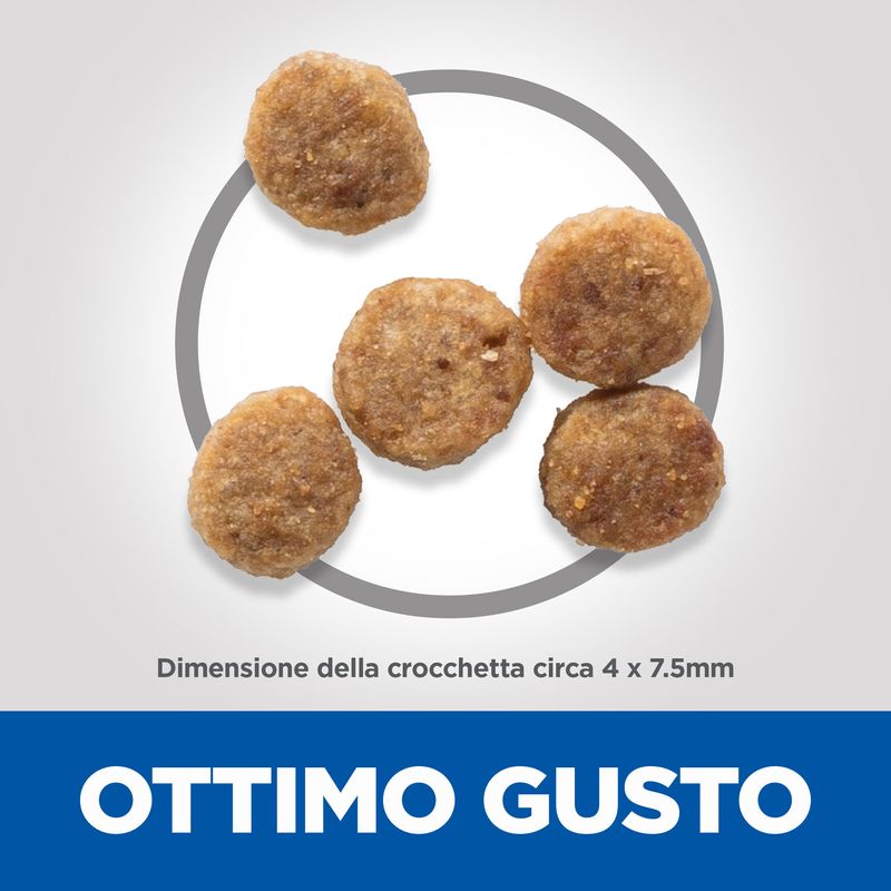 Zooplus Hill's Science Plan Senior 11+ Small & Mini con Pollo Vendita Economica