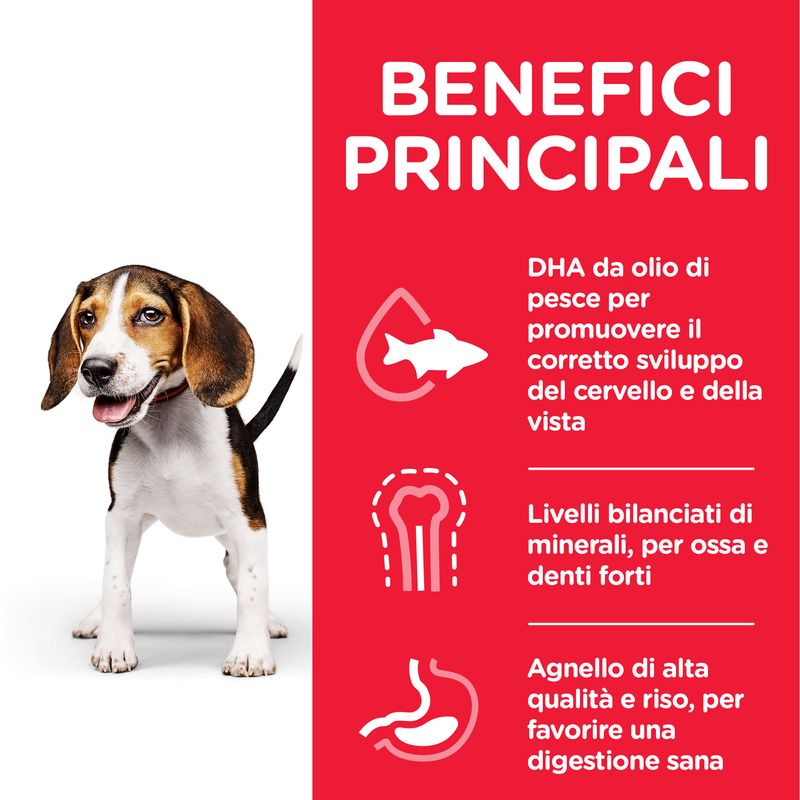 Zooplus Hill's Science Plan Puppy <1 Medium con Agnello e Riso I Più Venduti