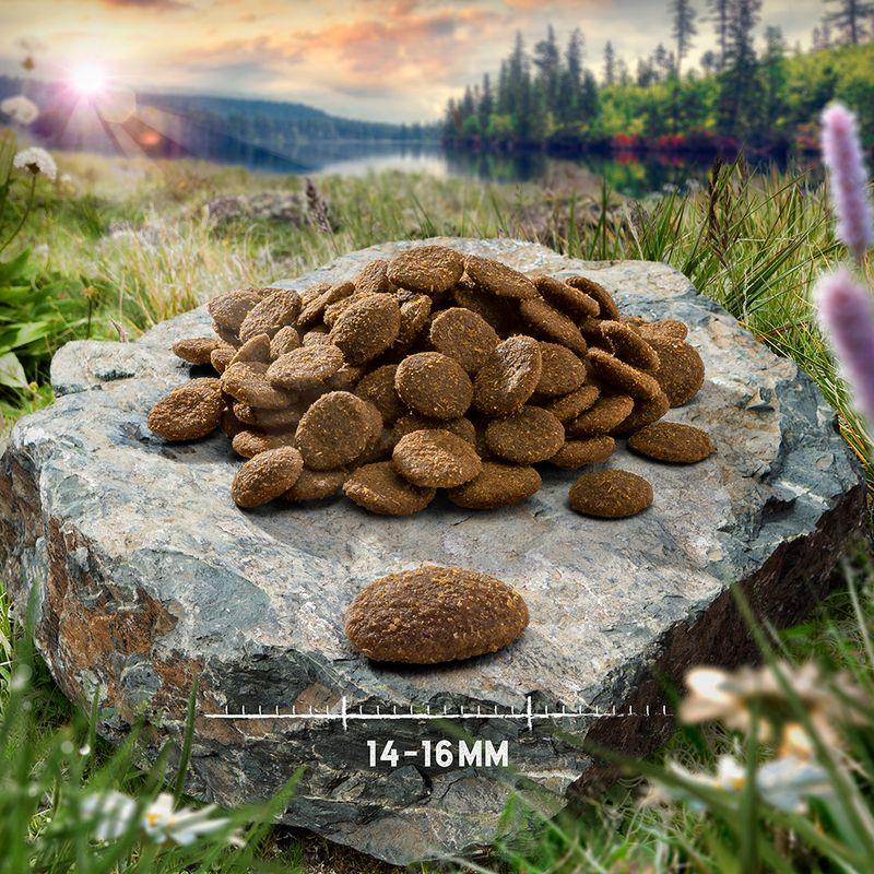 Zooplus 12 kg + 2 4 kg gratis Purizon Adult Crocchette Senza cereali per Cani Acquista Ora
