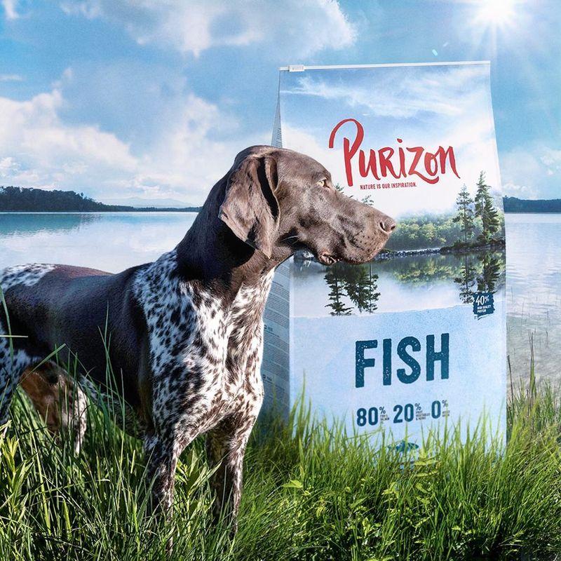 Zooplus Purizon Adult Pesce Crocchette senza cereali per cane Shopping Online