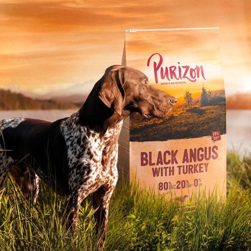 Zooplus Purizon Adult Black-Angus con Tacchino Crocchette senza cereali per cane Affare Del Giorno