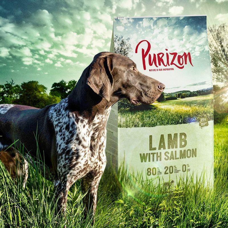 Zooplus Purizon Adult Agnello con Salmone Crocchette senza cereali per cane Novità