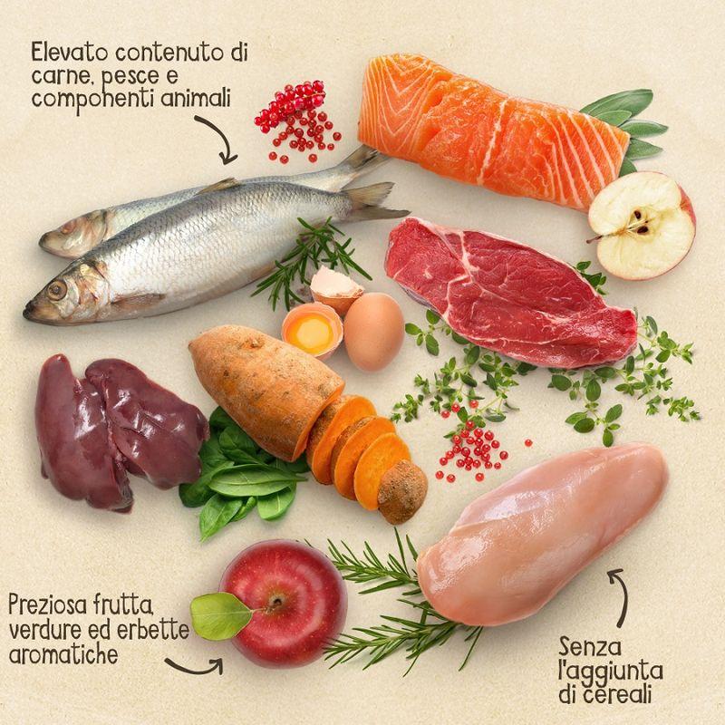 Zooplus Purizon Adult Agnello con Salmone Crocchette senza cereali per cane Novità