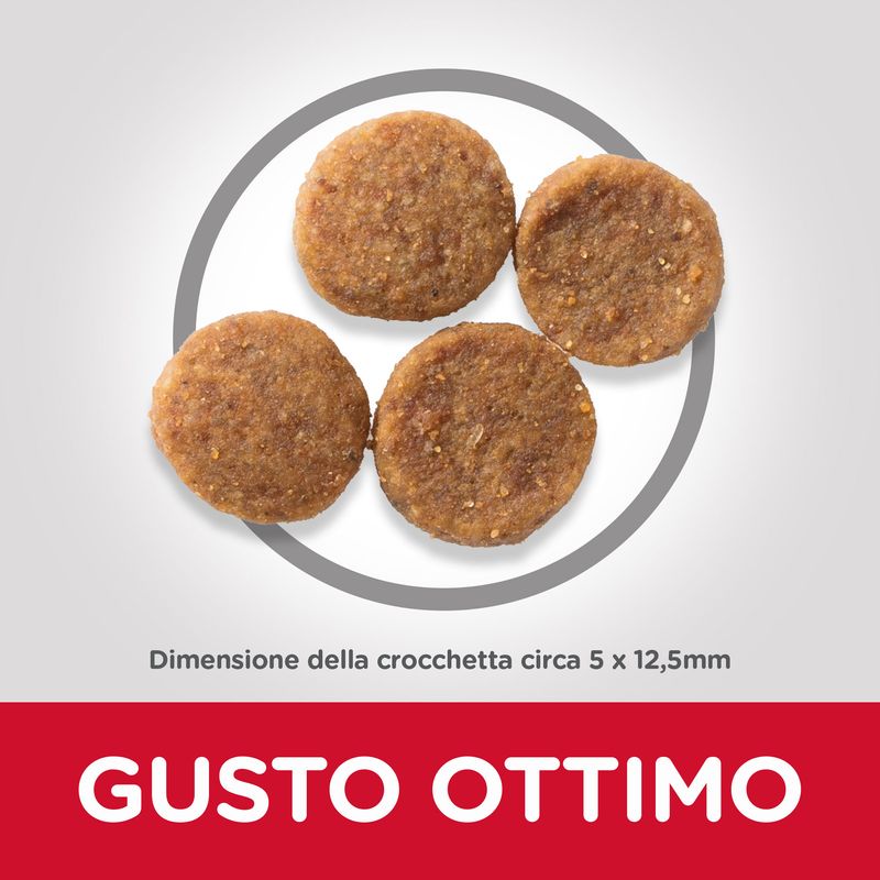 Zooplus Set prova misto Hill's Science Plan Adult con Pollo secco + umido Presa