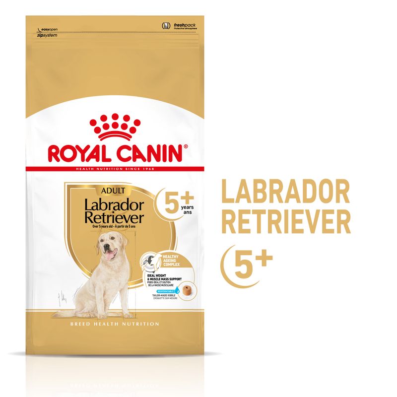 Zooplus Royal Canin Labrador Retriever Adult 5+ Crocchette per cane