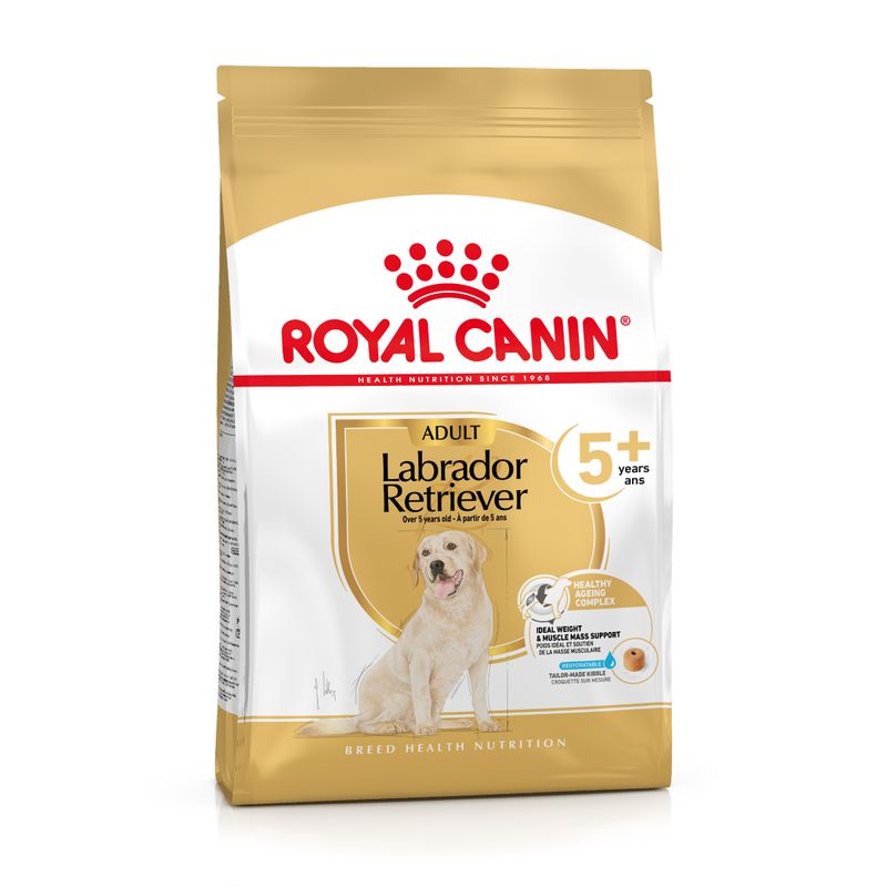 Zooplus Royal Canin Labrador Retriever Adult 5+ Crocchette per cane Vendita Economica
