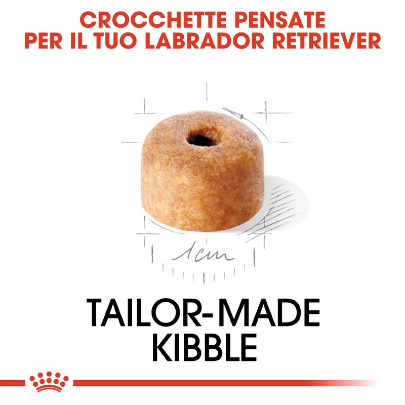 Zooplus Royal Canin Labrador Retriever Puppy Crocchette per cane Saldi Di Fabbrica