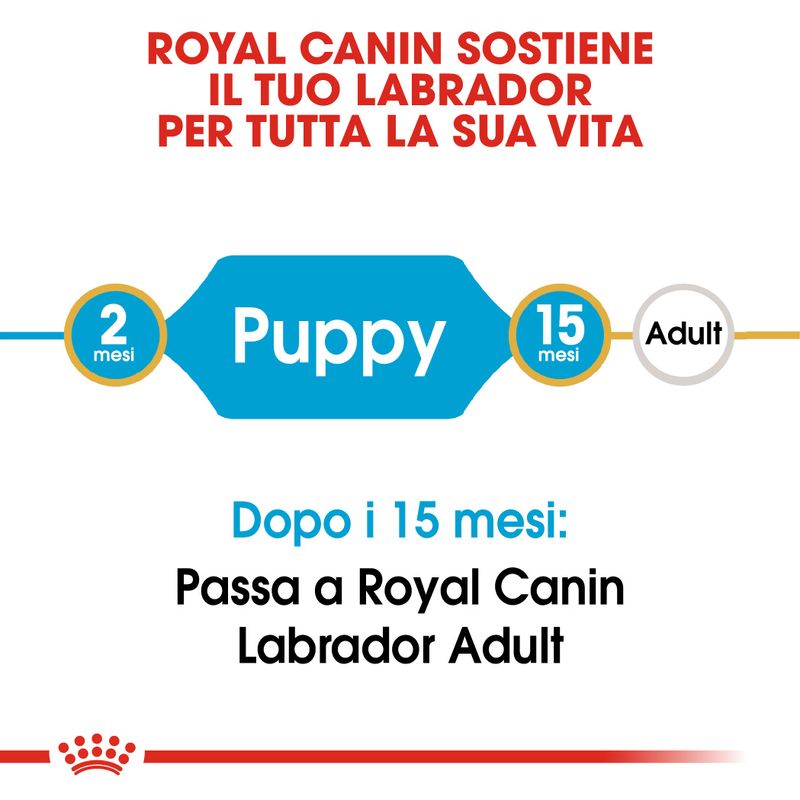 Zooplus Royal Canin Labrador Retriever Puppy Crocchette per cane Saldi Di Fabbrica