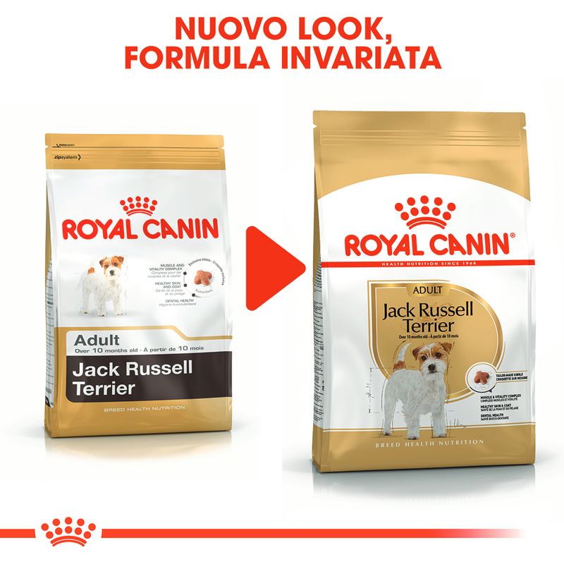 Zooplus Royal Canin Jack Russell Terrier Adult Crocchette per cane I Più Venduti