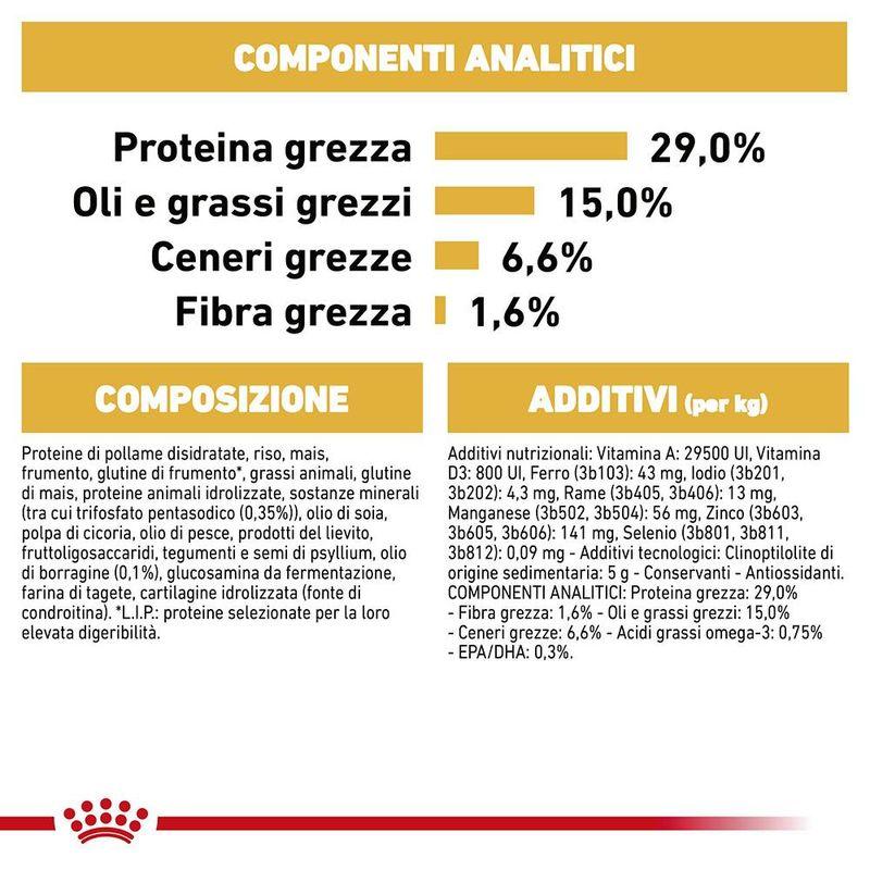 Zooplus Royal Canin Bichon Frise Adult Crocchette per cane Negozio