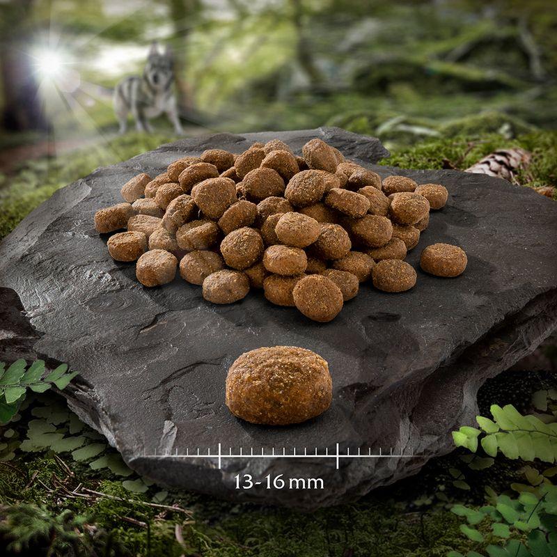 Zooplus 10€ DI SCONTO 12 kg Wolf of Wilderness Crocchette per cani Italy