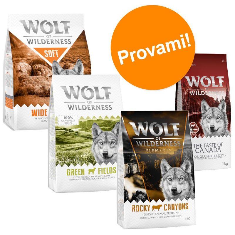 Zooplus Set prova misto Wolf of Wilderness Adult Crocchette per cani