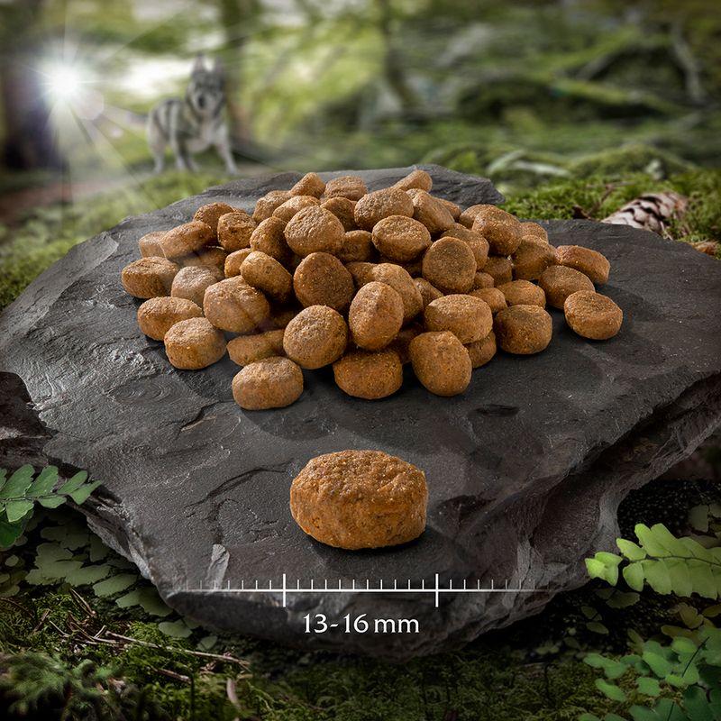 Zooplus Agnello Crocchette per cani Acquista Ora