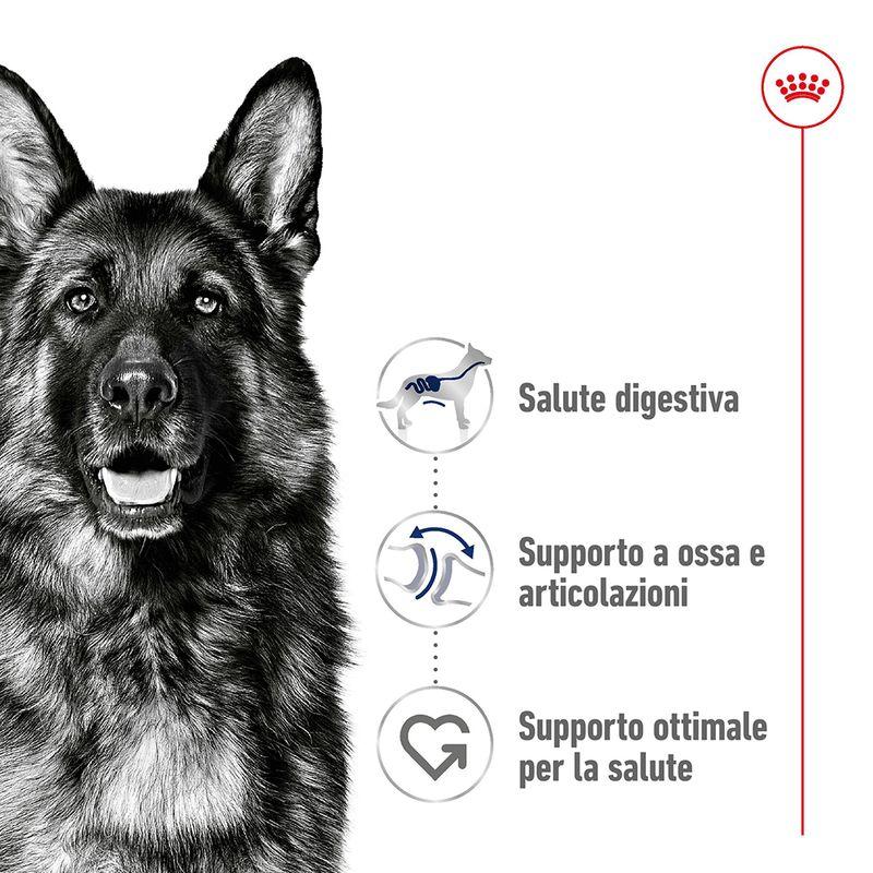 Zooplus Royal Canin Maxi Adult Crocchette per cane Offerta