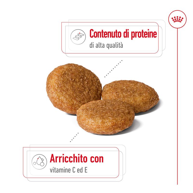 Zooplus Royal Canin Medium Adult Crocchette per cane Economico