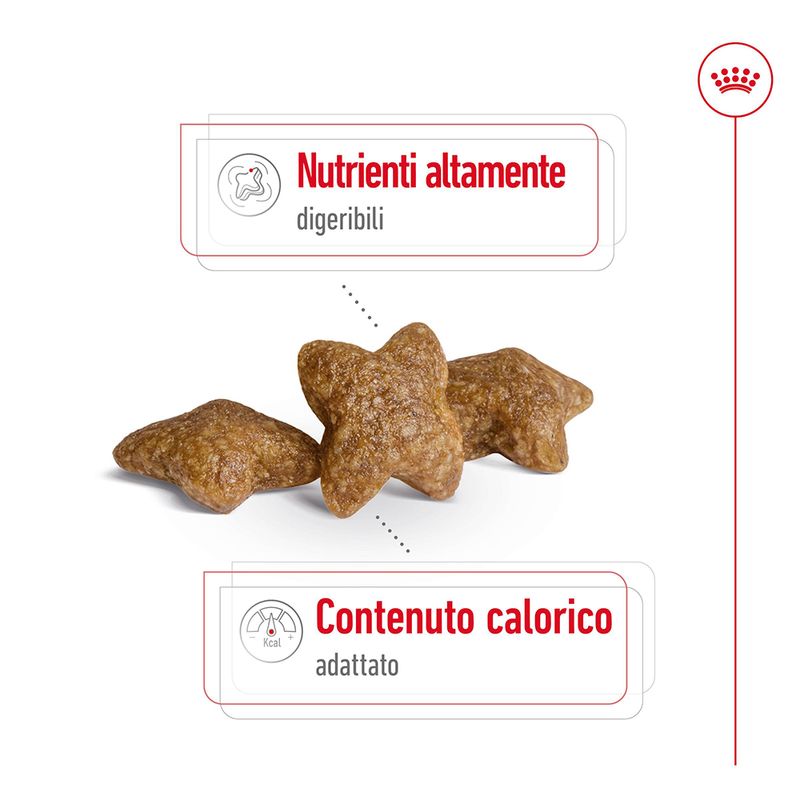 Zooplus Royal Canin Mini Adult Crocchette per cane Online