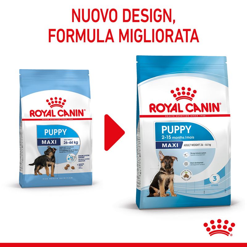 Zooplus Royal Canin Maxi Puppy Crocchette per cane Outlet