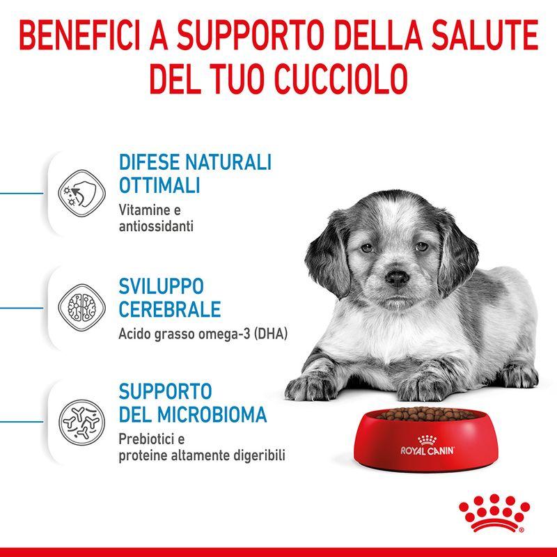 Zooplus Royal Canin Medium Puppy Crocchette per cane Saldi