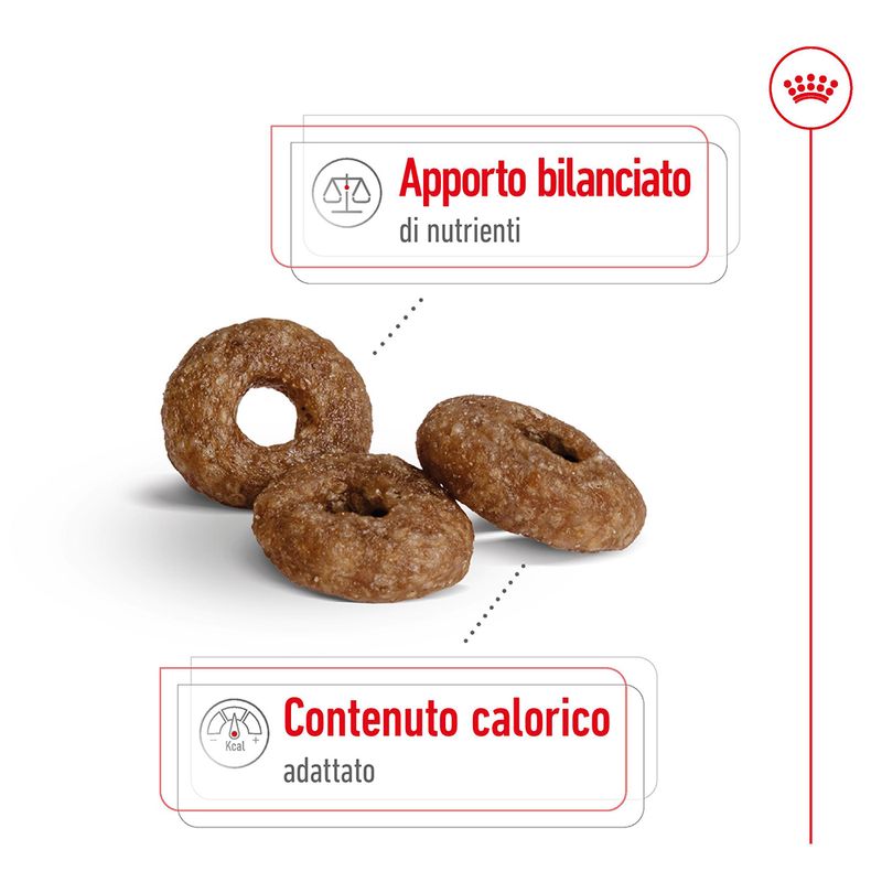 Zooplus Royal Canin Mini Ageing 12+ Crocchette per cane Hotsell
