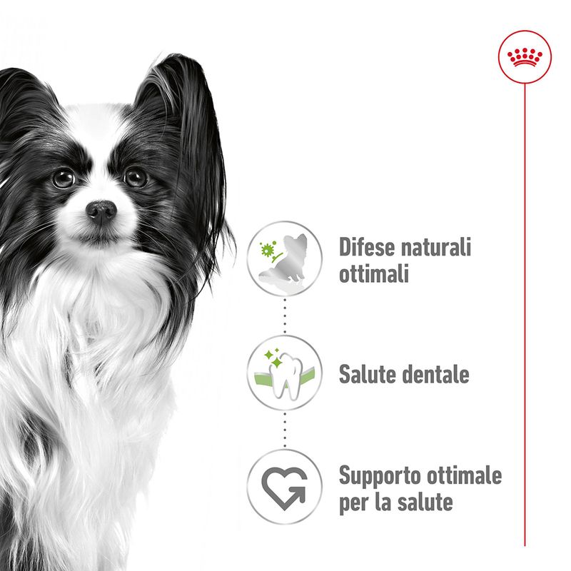Zooplus Royal Canin X-Small Adult Crocchette per cane Vendita Calda