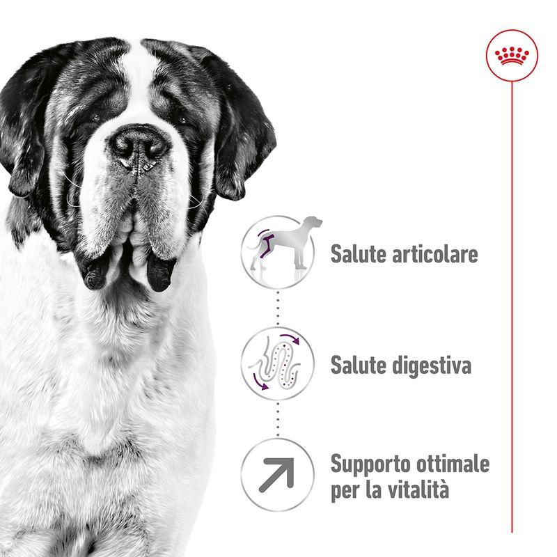 Zooplus Royal Canin Giant Adult Crocchette per cane Vendita Economica